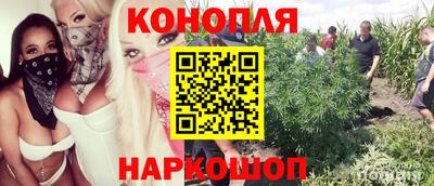 спиды Канаш