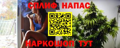 спиды Канаш