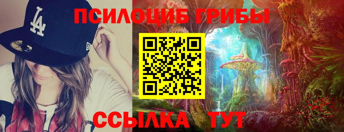 Псилоцибиновые грибы GOLDEN TEACHER  Вход с VPN  Сергиев Посад  Псилоцибиновые грибы GOLDEN TEACHER 