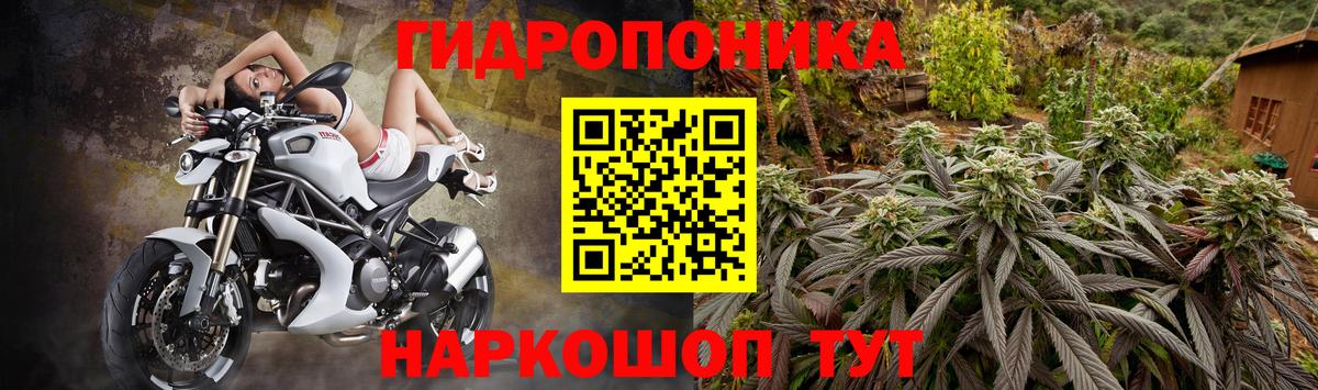 Марихуана марихуана Сергиев Посад